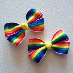 Mini Boutique Bow Pair - Rainbow